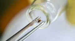 Де пройти галочку для аналізу?